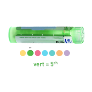 Boiron carbo veget. 5ch, 1 tube de 80 granules