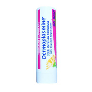 Boiron Dermoplasmine Stick Lèvres, 4g