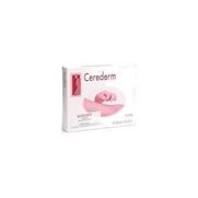 Cerederm plaque gel silicone rectan  5cm x  8cm 10