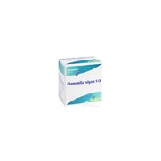 Chamomilla vulgaris 9 ch boiron, 12 suppositoires