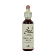 Fleurs de bach original fleur de bach chestnut bud n°7 - 20 ml