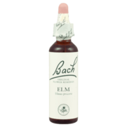 Fleur de back elixir floral orme, 20 ml