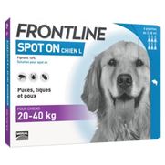 Frontline spot on chien l solution 2ml68 x3