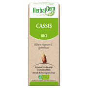 HerbalGem Bio Cassis, 30ml