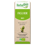 HerbalgGem Bio Figuier, 30 ml