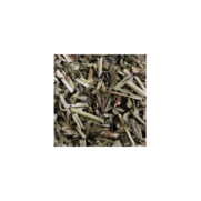 Marque verte hysope plante, 100 g de tisane en vrac