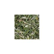 Marque verte melilot plante, 100 g de tisane en vrac