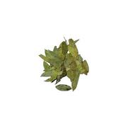 Marque verte sene feuille, 50 g de tisane en vrac