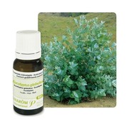 Pranarom hect bio eucalyptus globuleux feuil, 10 ml d'huile essentielle