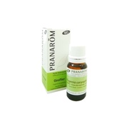 Pranarom hect bio giroflier bouton floral 10ml