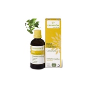 Pranarôm huile bio calophylle - 50 ml