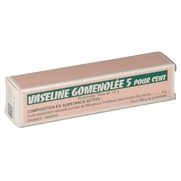 Vaseline gomenolee 5 %, 15 g de pommade