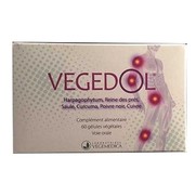 Vegedol gelu bt60