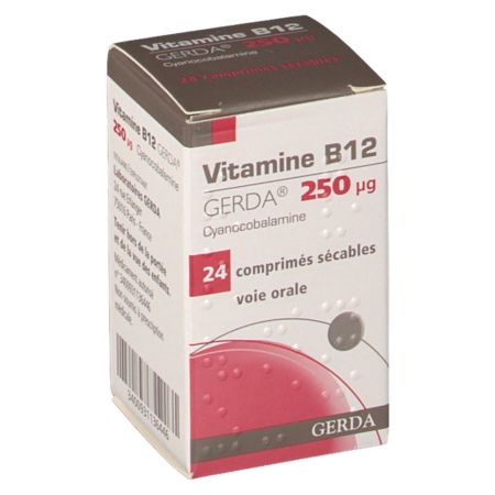 Vitamine b12 gerda 250 microgrammes, 24 comprimés sécables