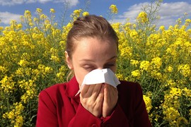 Dépistage des allergies