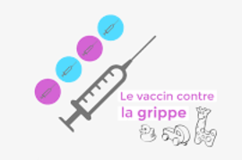Vaccination contre la grippe 